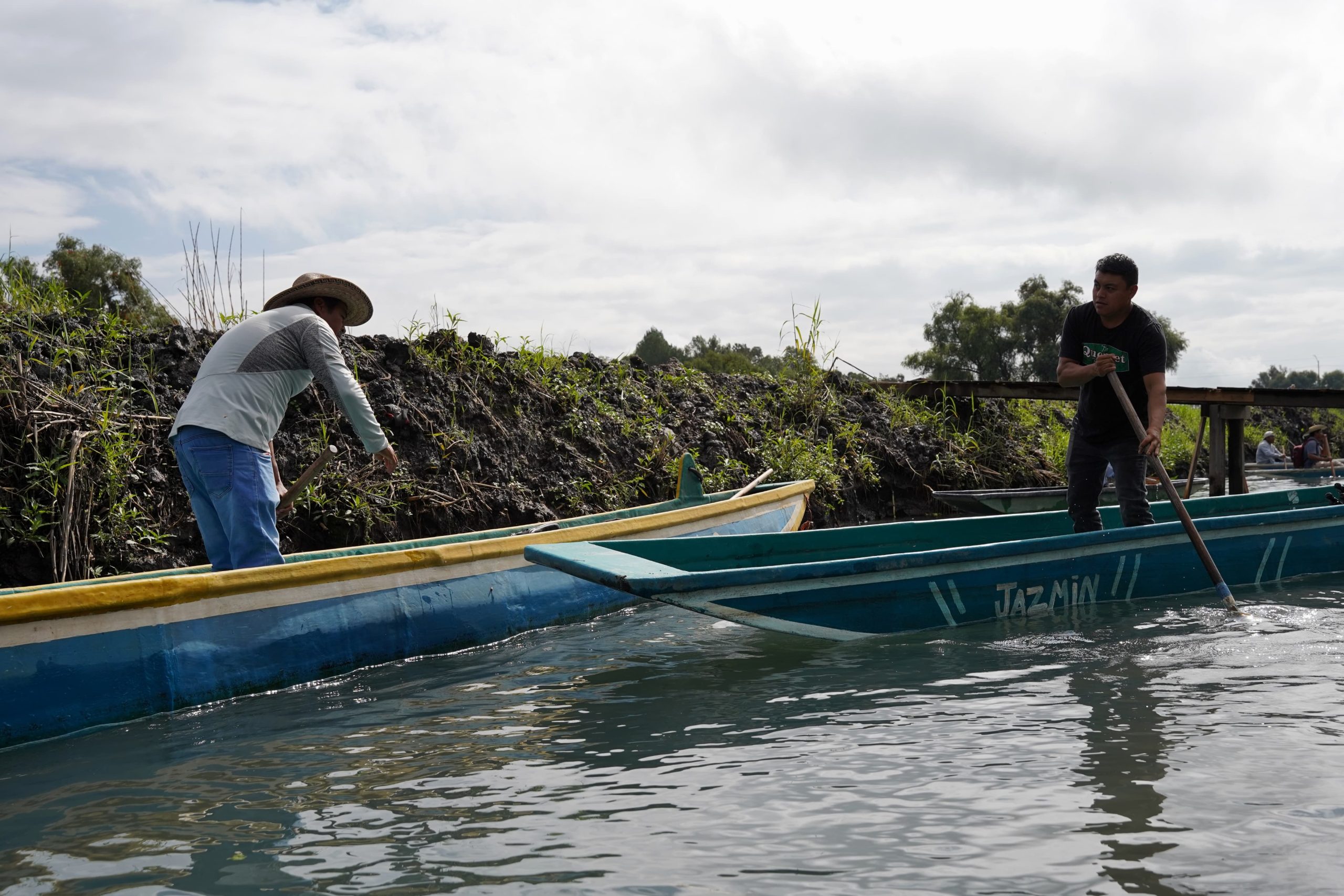 Descuido, ignorancia y ambición, taparon manantiales del Lago de Pátzcuaro:  Bedolla | Primera Plana MX